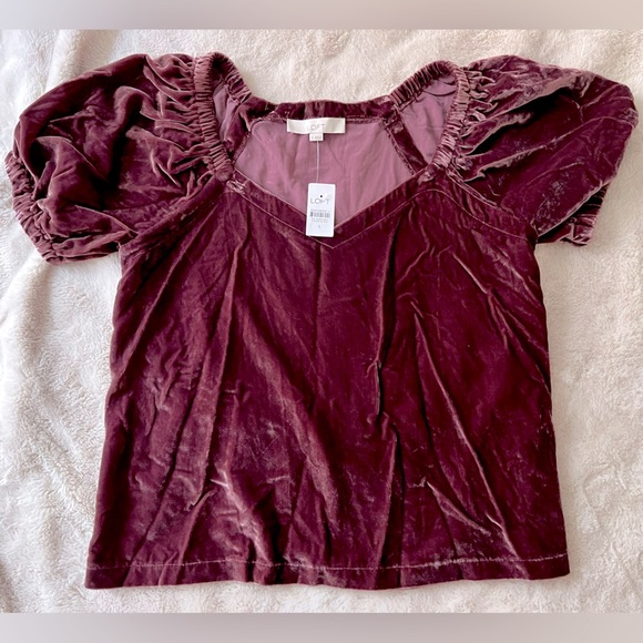 {NOT FOR SALE} NWT LOFT Velvet Puff Sleeve Top Bordeaux Size S - Picture 4 of 10